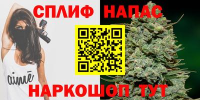 дмт Нальчик