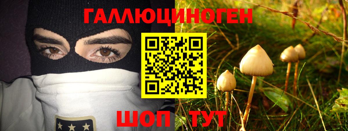 Галлюциногенные грибы MAGIC MUSHROOMS  Вход с VPN  Ступино 